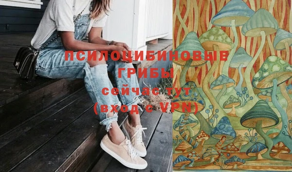 твердый Армянск
