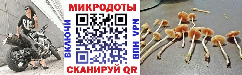 Галлюциногенные грибы Psilocybine cubensis  сколько стоит  Тобольск 